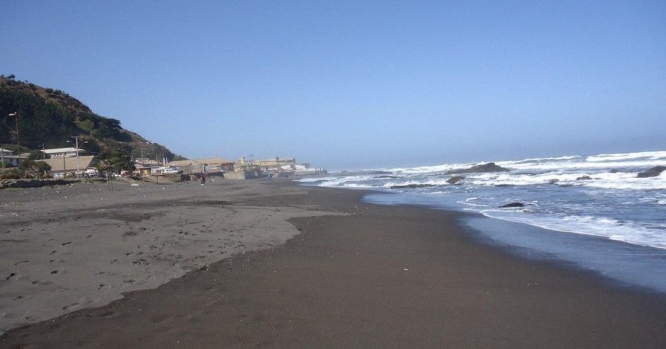 La situación se registró en una playa entre Iloca y Duao (Foto: Bárbara Ramos)